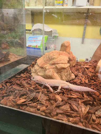 Pet Store «Coral Reef Pet Center», reviews and photos, 7723 W Lawrence Ave, Norridge, IL 60706, USA