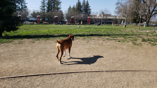 Sacramento County Animal Shelter Off Leash Dog Park