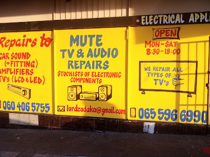 Mute TV And Audio Repairs