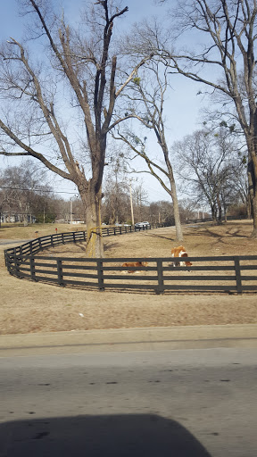 Locksmith «Cool Springs Lock & Key», reviews and photos, 460 Franklin Rd, Franklin, TN 37069, USA