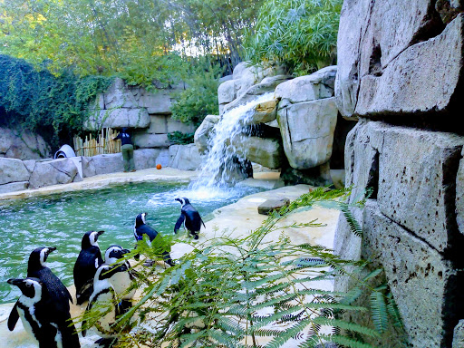 Park «Trammell Crow Park», reviews and photos, 3700 Sylvan Ave, Dallas, TX 75207, USA