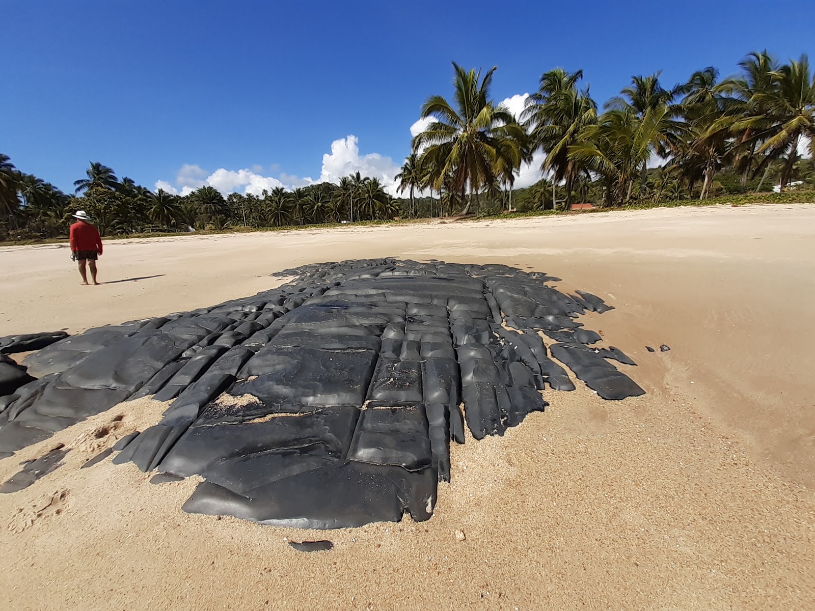 Photo de Praia do Sol - endroit populaire parmi les connaisseurs de la détente