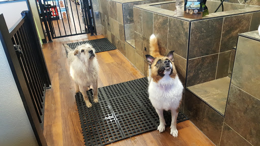 Pet Supply Store «Pet Valu», reviews and photos, 6220 Wilmington Pike D, Sugarcreek Township, OH 45459, USA