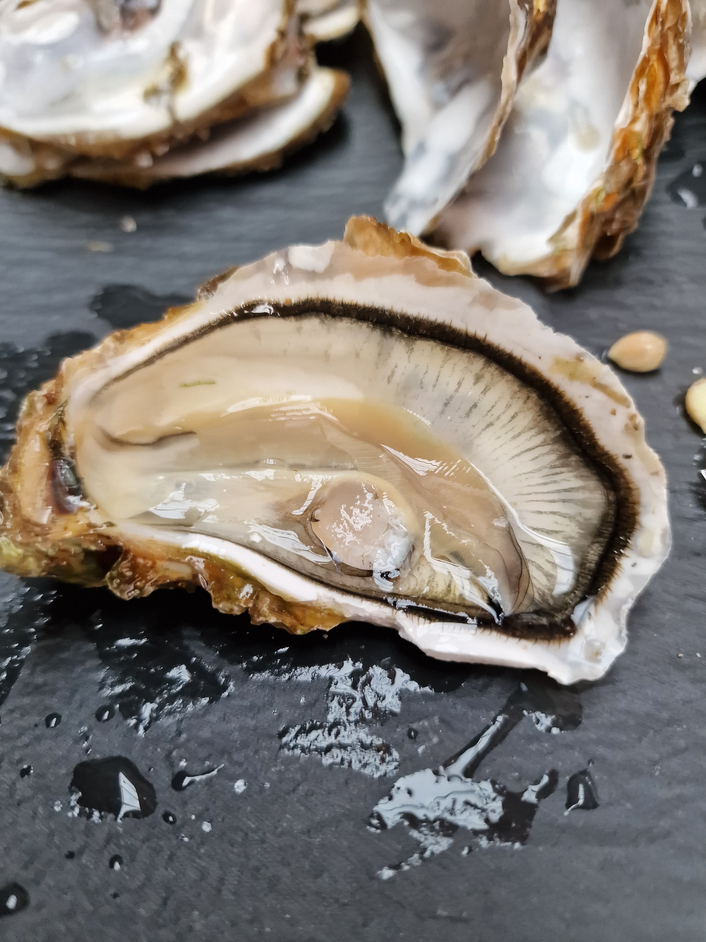 Photo n° 2 de l'avis de Martine.v fait le 09/09/2023 à 07:27