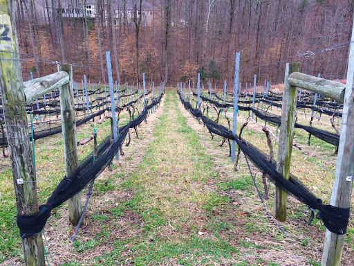 Winery «Potomac Point Winery & Vineyard», reviews and photos, 275 Decatur Rd, Stafford, VA 22554, USA