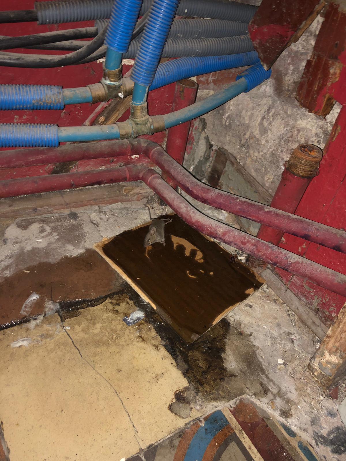Photo n° 1 de l'avis de Lea.t fait le 20/05/2019 à 10:41