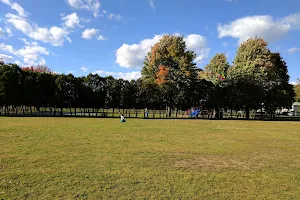 Latteri Park image