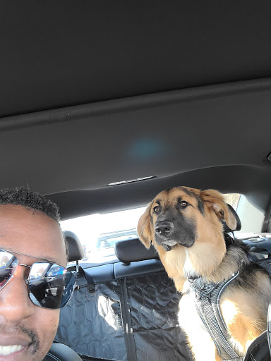 Pet Supply Store «PetSmart», reviews and photos, 17585 Southcenter Pkwy, Tukwila, WA 98188, USA