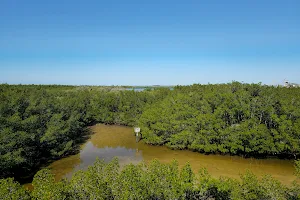 Newman Creek image