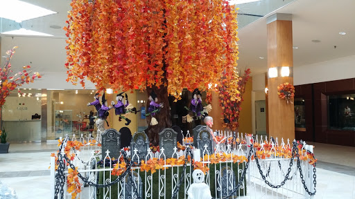 Shopping Mall «Orchard Mall Shopping Center», reviews and photos, 6337 Orchard Lake Rd, West Bloomfield Township, MI 48322, USA