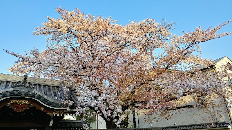 天台宗 清林山 大泉寺