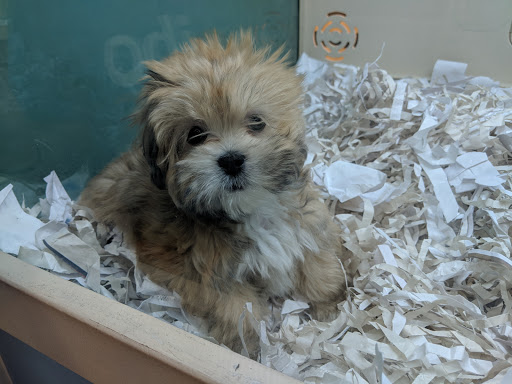 Pet Store «Pet Express», reviews and photos, 250 Granite St, Braintree, MA 02184, USA