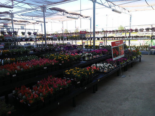 Department Store «Walmart Supercenter», reviews and photos, 781 Main St, Presque Isle, ME 04769, USA