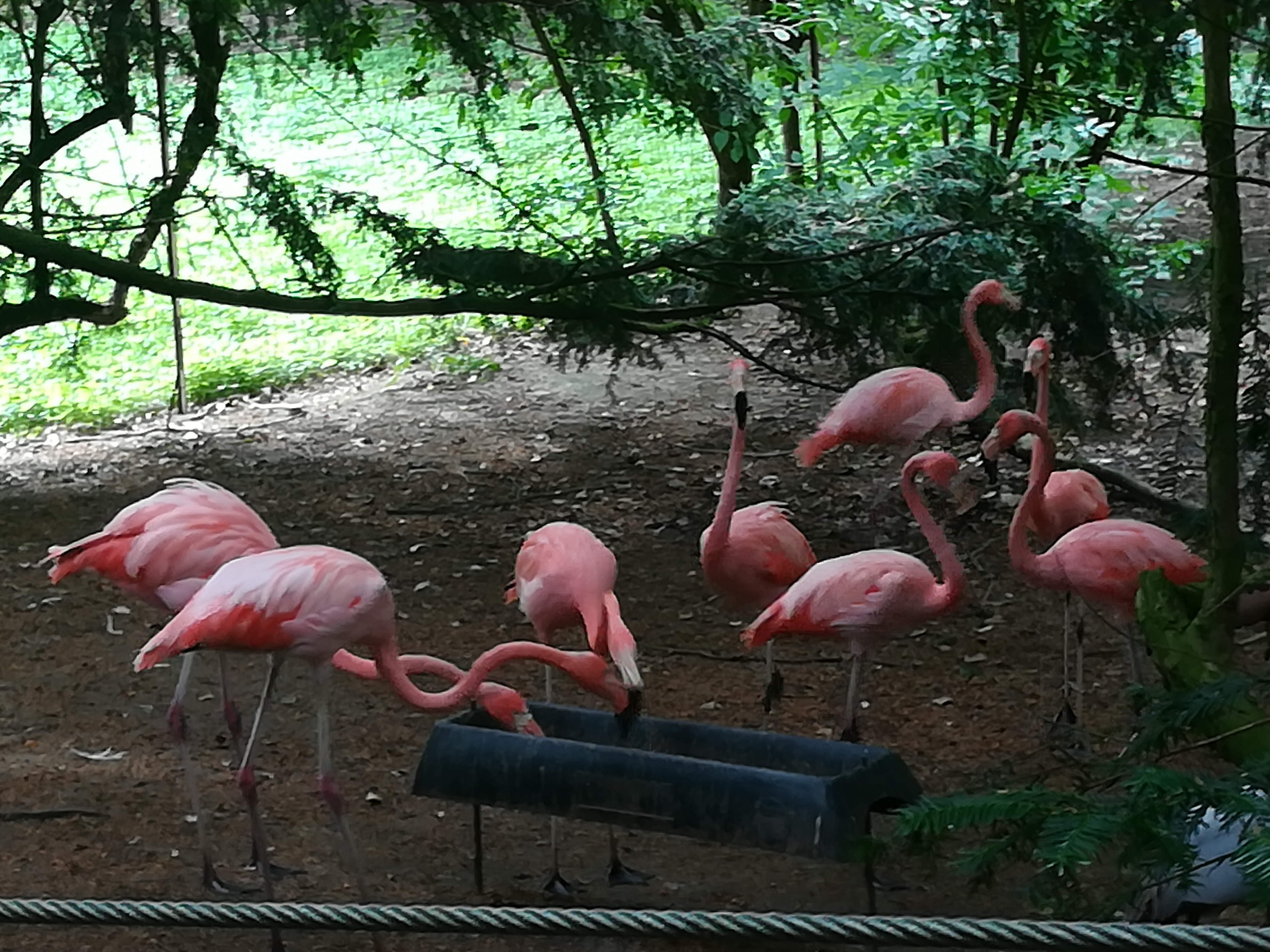 Photo n° 4 de l'avis de Christophe.A fait le 26/07/2020 à 19:03