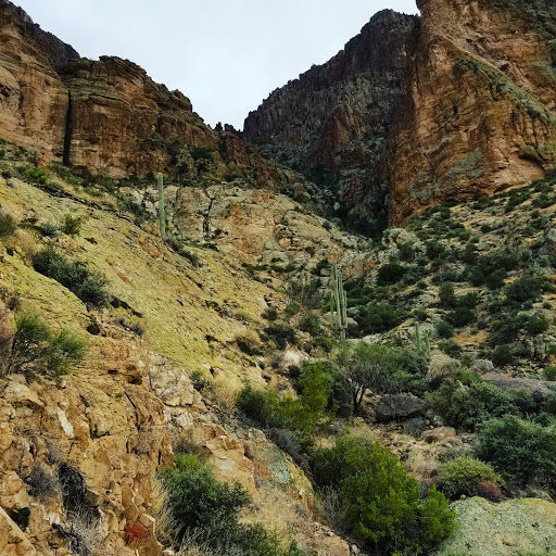 Movie Theater «Harkins Theatres Superstition Springs 25», reviews and photos, 6950 E Superstition Springs Blvd, Mesa, AZ 85209, USA