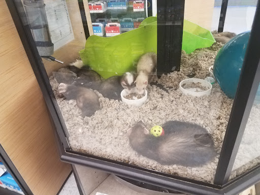 Pet Supply Store «Petco Animal Supplies», reviews and photos, 3246 N John Young Pkwy, Kissimmee, FL 34741, USA