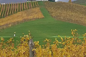 Zlati Grič proizvodnja, trgovina in storitve, d.o.o. image