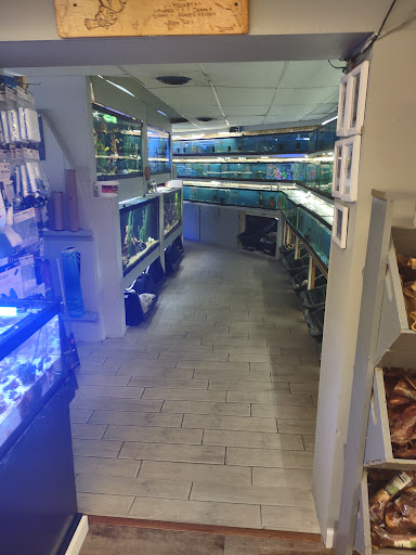 Pet Store «Fish Bowl Aquarium & Pet Mart», reviews and photos, 725 Providence St, West Warwick, RI 02893, USA