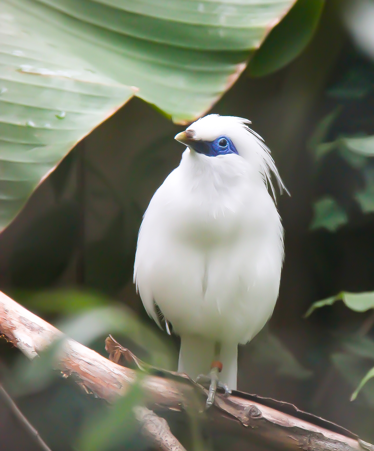 Photo n° 6 de l'avis de Cynthia.l fait le 21/07/2022 à 17:10