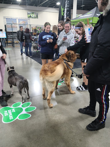 Novi Pet Expo