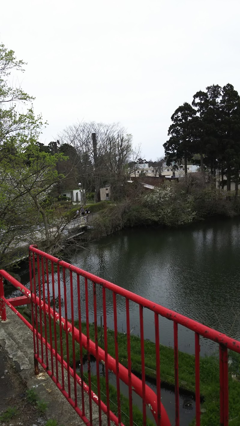 大森山ゆうえんちアニパ 秋田県秋田市浜田潟端 遊園地 グルコミ