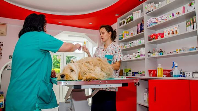 Cabinet veterinar FIRSTVET MEDICAL - Veterinar