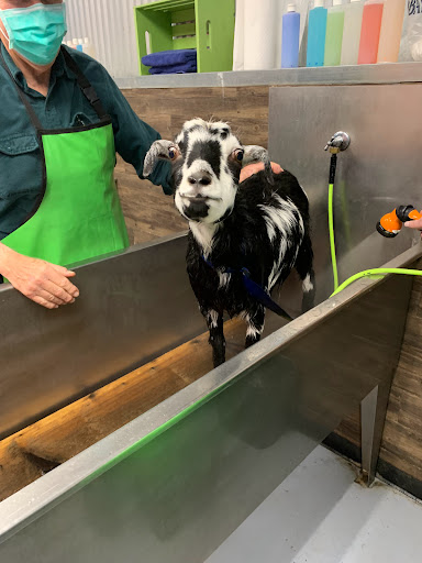 Pet Store «The Pet Works», reviews and photos, 407 4th Ave E, Olympia, WA 98501, USA