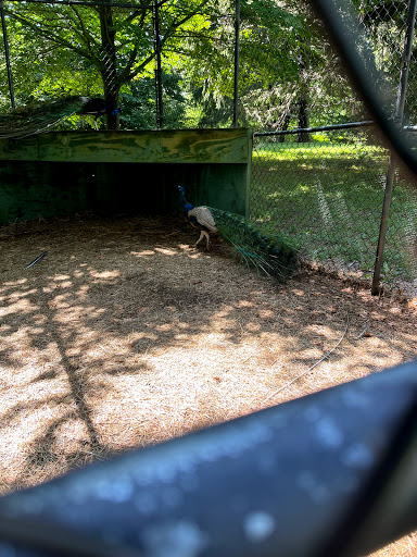 Garden «Wethersfield Farm», reviews and photos, 88 Wethersfield Way, Amenia, NY 12501, USA