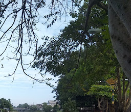 Taman bako photo