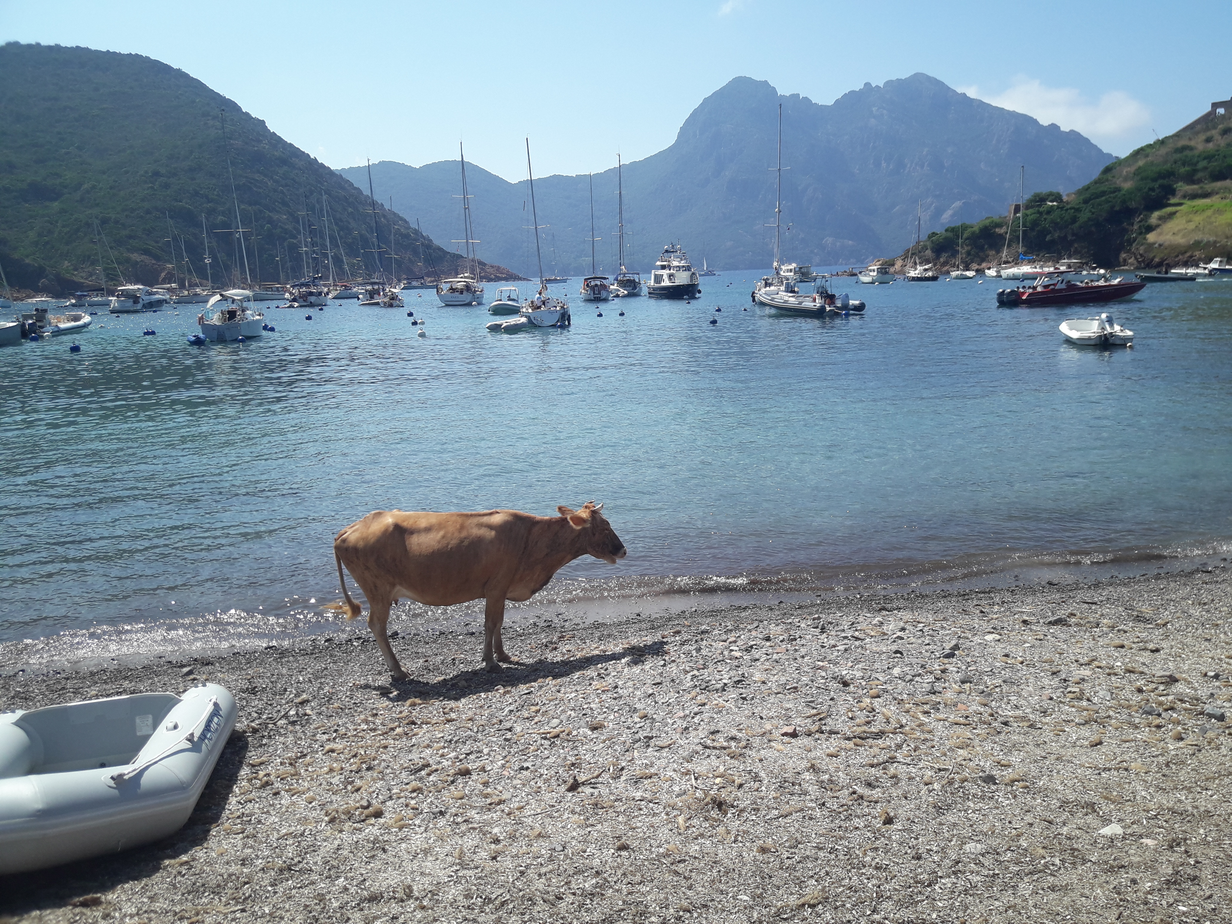 Photo n° 23 de l'avis de Wilfried.o fait le 26/07/2018 à 16:18