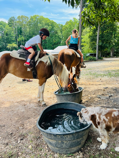 Pony ride service Cary