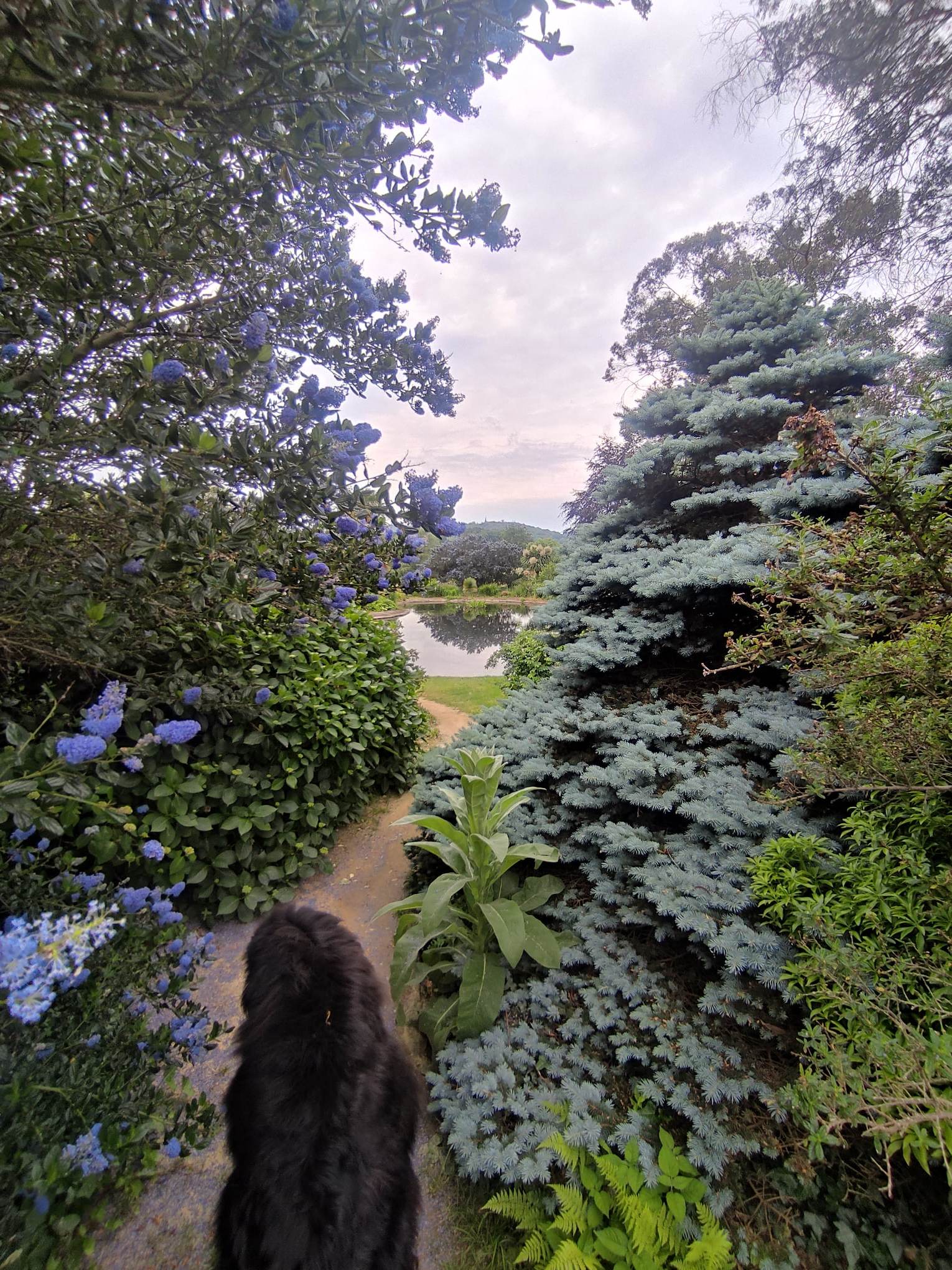 Photo n° 1 de l'avis de Blanche.a fait le 10/06/2023 à 06:12