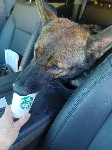 Starbucks image