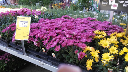 Home Improvement Store «The Home Depot», reviews and photos, 5631 Lone Tree Way, Brentwood, CA 94513, USA