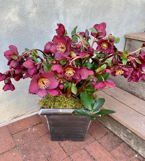 Florist «Medford Florist», reviews and photos, 38 S Main St, Medford, NJ 08055, USA