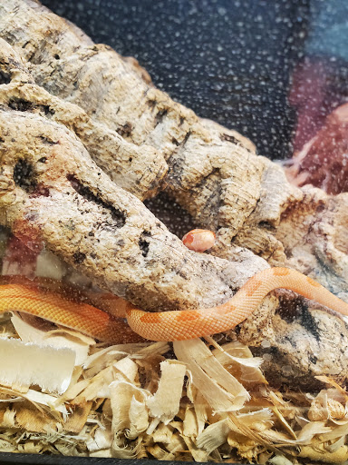 Pet Supply Store «PetSmart», reviews and photos, 162 S Gary Ave, Bloomingdale, IL 60108, USA