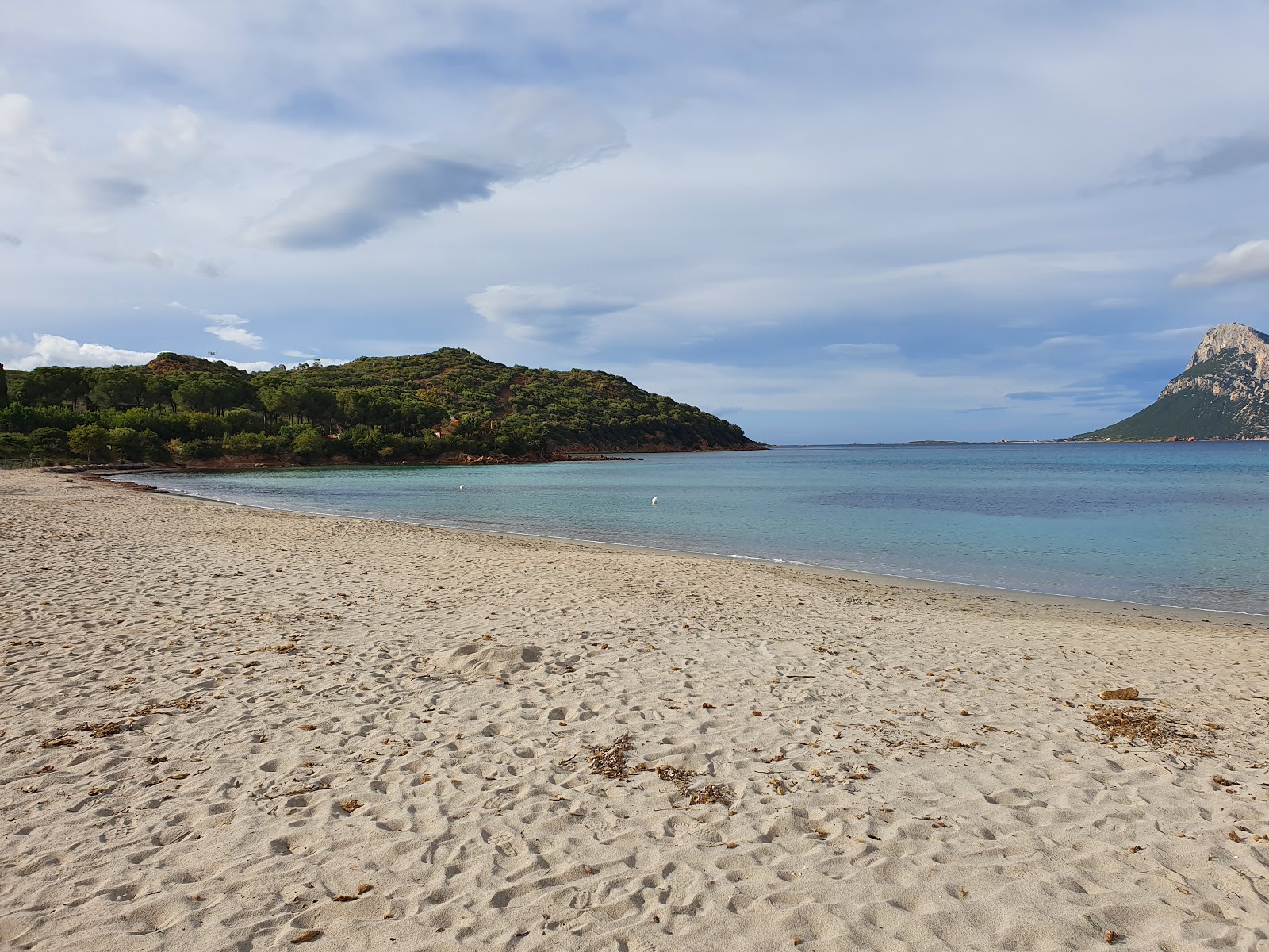 Foto av Costa Dorata Stranden och dess vackra landskap