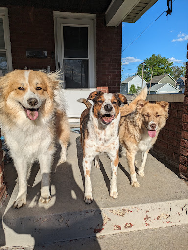 City Way Animal Clinics - Fall Creek image