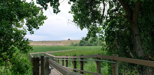 Nature Preserve «Bluff Lake Nature Center», reviews and photos, 3400 Havana Way, Denver, CO 80238, USA