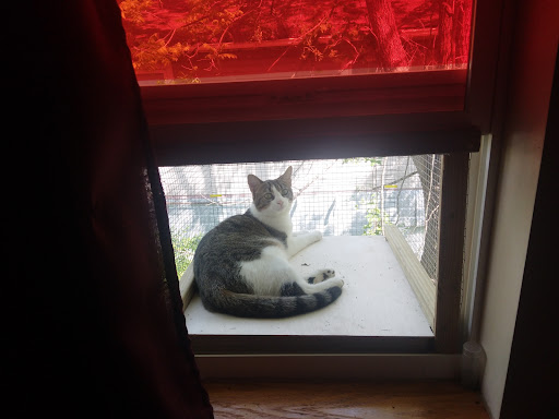 Pet Supply Store «Pet Supplies Plus», reviews and photos, 1268 N Eisenhower Dr, Beckley, WV 25801, USA