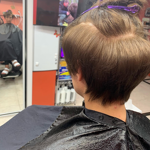 Beauty Salon «Signature Hairstyle Beauty Salon», reviews and photos, 10526 Old Olive Street Rd, Creve Coeur, MO 63141, USA