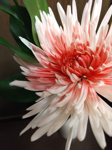 Fast Food Restaurant «Chick-fil-A», reviews and photos, 3026 196th St SW, Lynnwood, WA 98036, USA