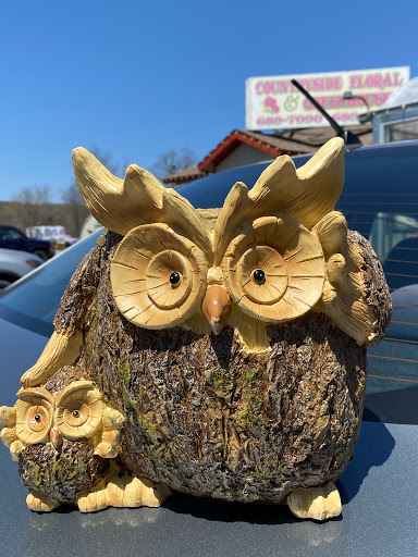 Florist «Countryside Floral And Greenhouses», reviews and photos, 129 Mt Cobb Hwy, Lake Ariel, PA 18436, USA