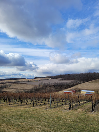 Winery «Galen Glen Winery», reviews and photos, 255 Winter Mountain Dr, Andreas, PA 18211, USA