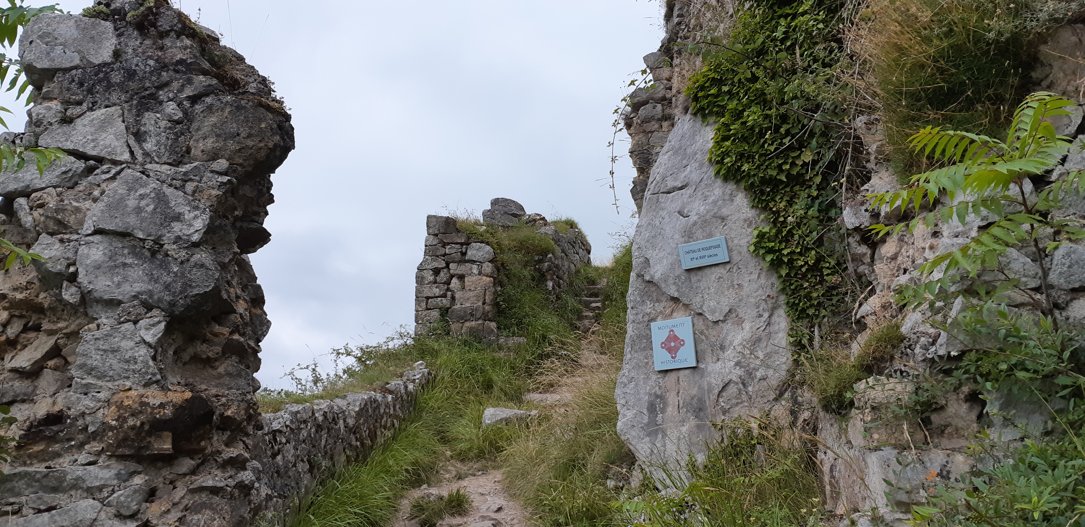 Photo n° 4 de l'avis de Zyzomis. fait le 30/07/2018 à 11:24