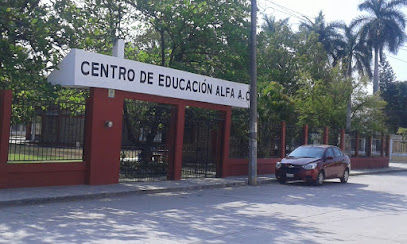 Alfa English School