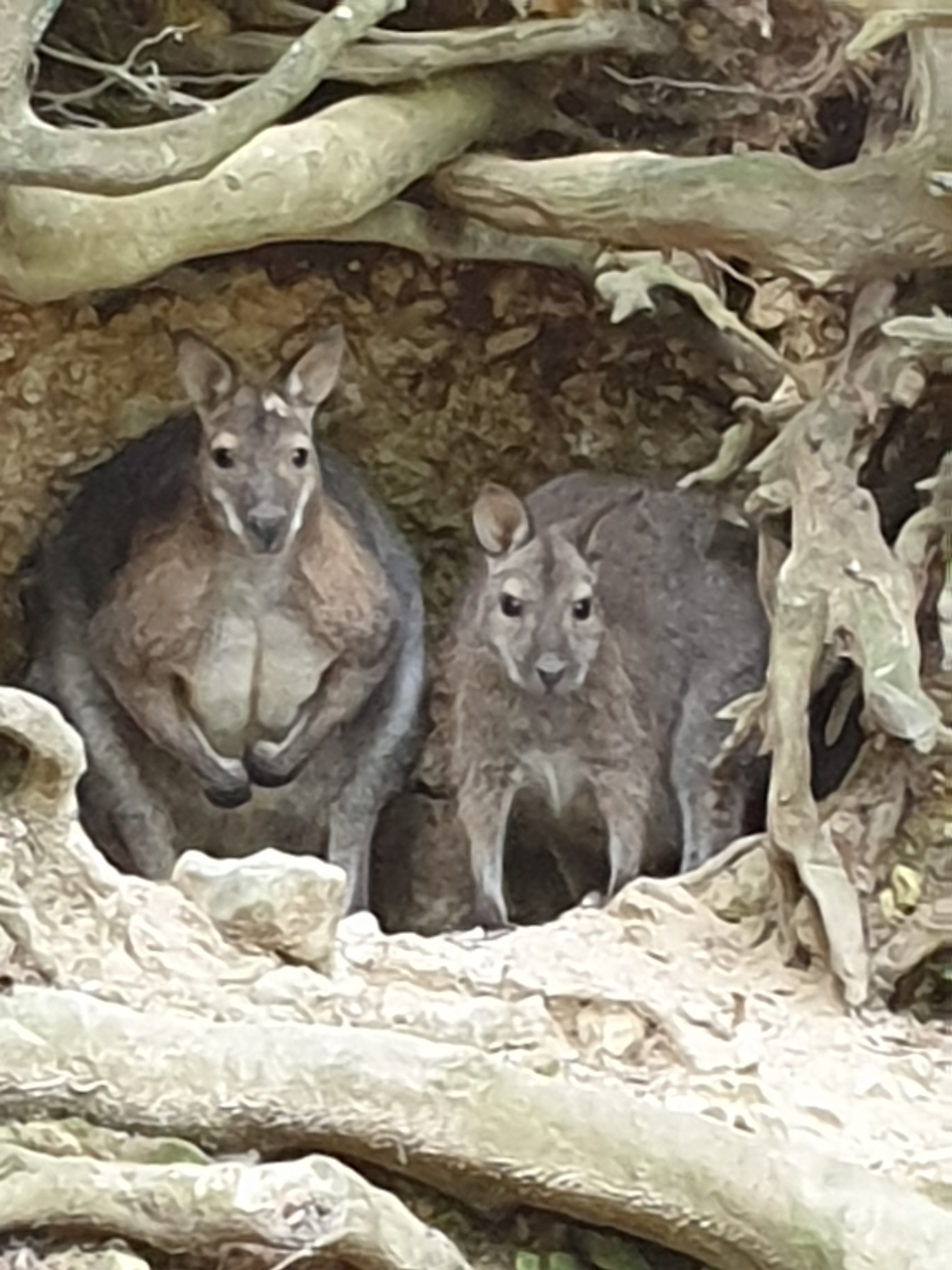 Photo n° 2 de l'avis de Fabienne.e fait le 09/08/2021 à 19:42
