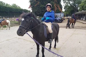 Grenoside Equestrian Centre image