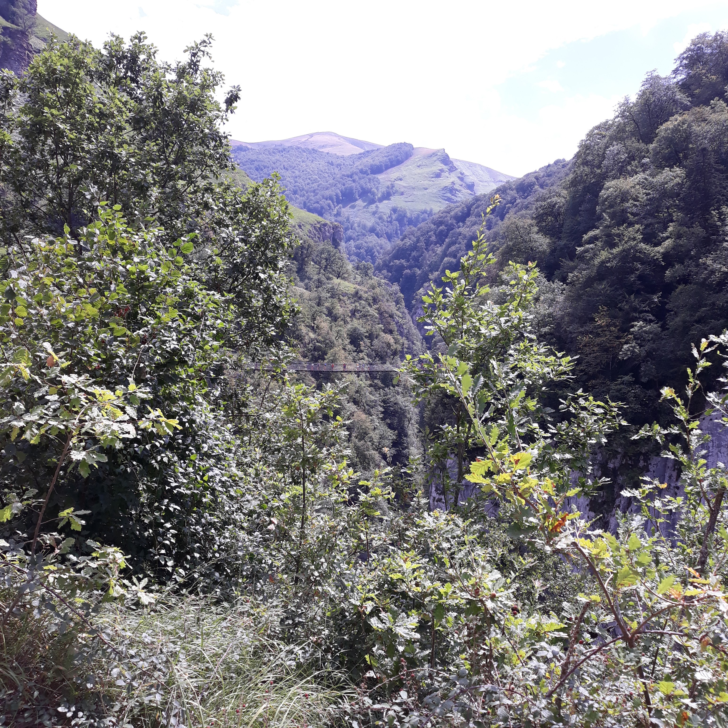 Photo n° 4 de l'avis de Nini.e fait le 13/08/2020 à 07:15