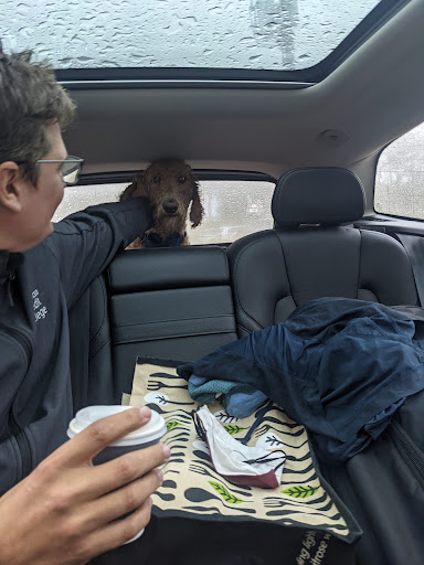 Market «Market Salamander», reviews and photos, 200 W Washington St, Middleburg, VA 20117, USA